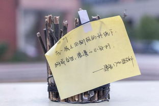 創意制作，一起開開腦洞