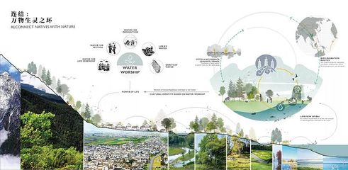 重生于此，洱海生態修復工程的自然生態系統保護管理實踐