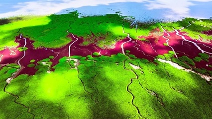 盤錦市海洋生態保護修復工程項目實施方案正式獲批