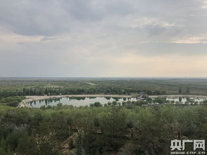 寧夏植綠治沙 守護(hù)黃河生態(tài)安全的壯麗征程