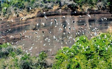 丹霞山自然保護區 珍稀鳥類的生態家園與自然保護典范