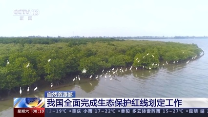 筑牢生態屏障 我國全面完成生態保護紅線劃定，開啟自然生態系統保護新篇章